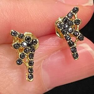 21 Pairs Earrings 18kt Gold Plated Black Wings Gothic & 20 Steel Sensitive Studs